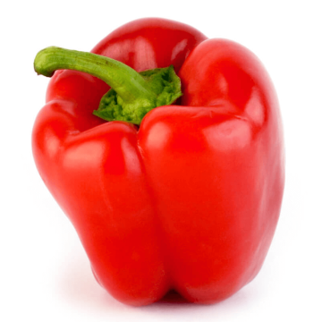 PIMIENTO ROJO