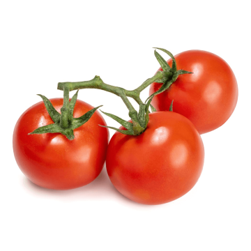 TOMATE RAMA