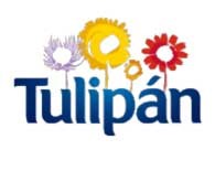 Tulipan